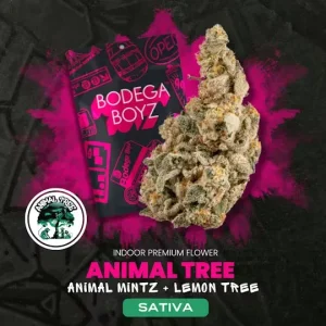 Bodega Boyz Animal Tree #13