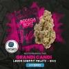Bodega Boyz Grandi Candi